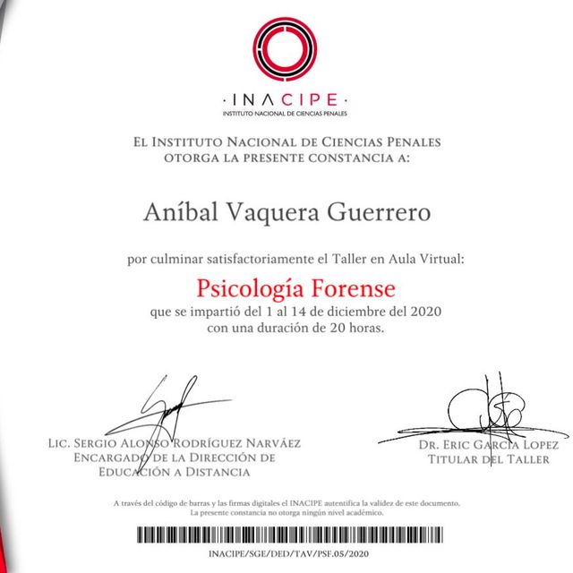 Ampliar imagen: certificate 6