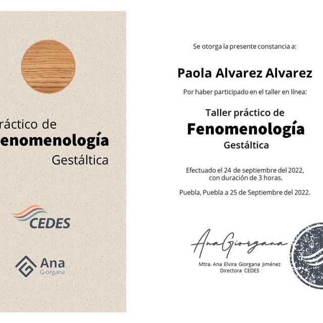 Ampliar imagen: certificate 7