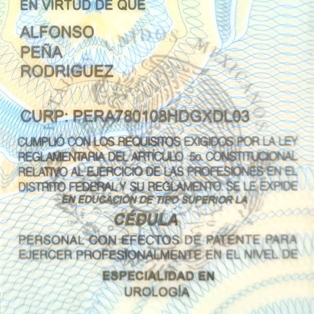 Ampliar imagen: certificate 2