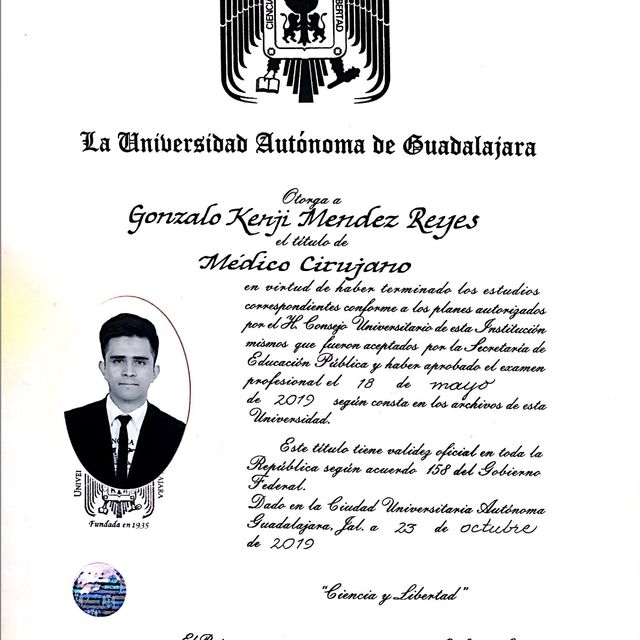 Ampliar imagen: certificate 2