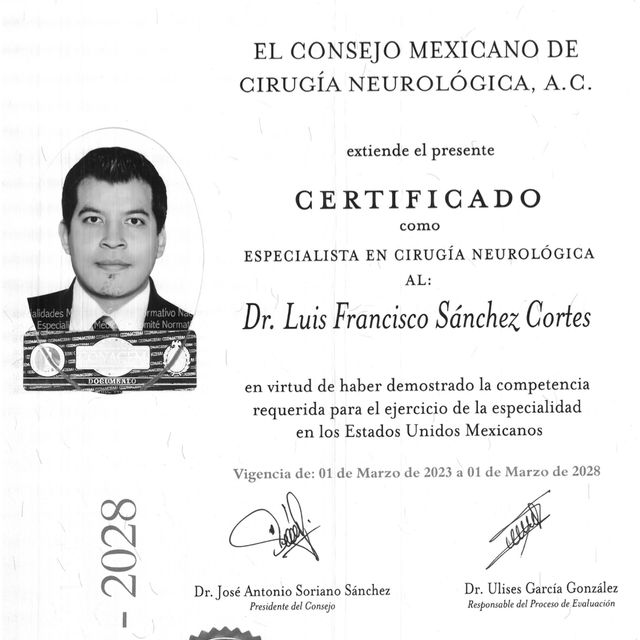 Ampliar imagen: certificate 1
