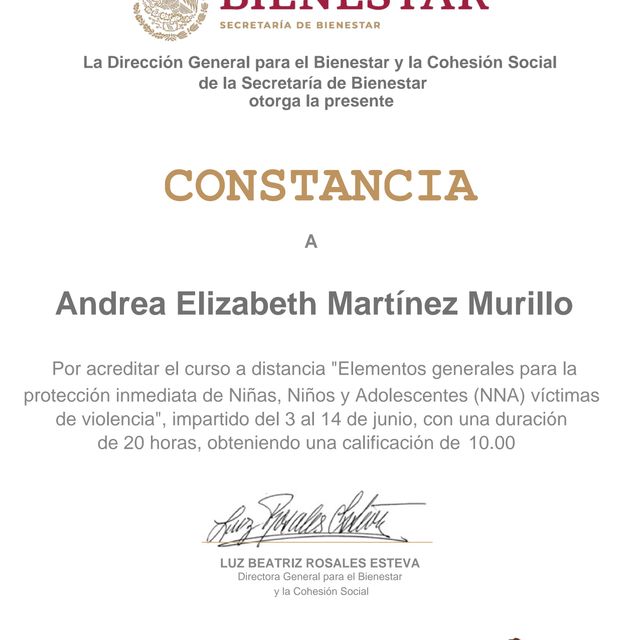 Ampliar imagen: certificate 16