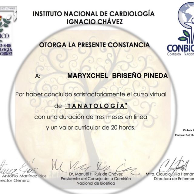 Ampliar imagen: certificate 6