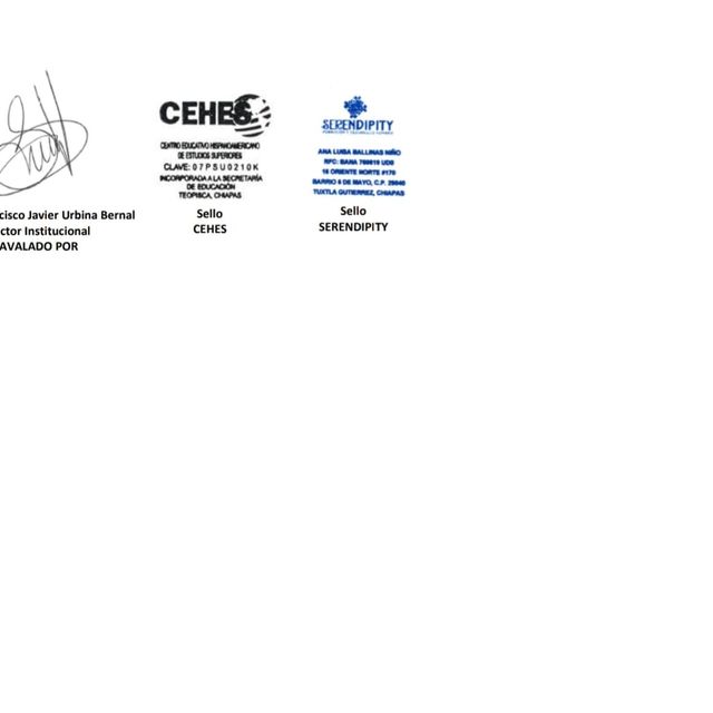 Ampliar imagen: certificate 12