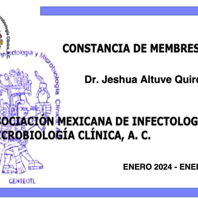 Ampliar imagen: certificate 4