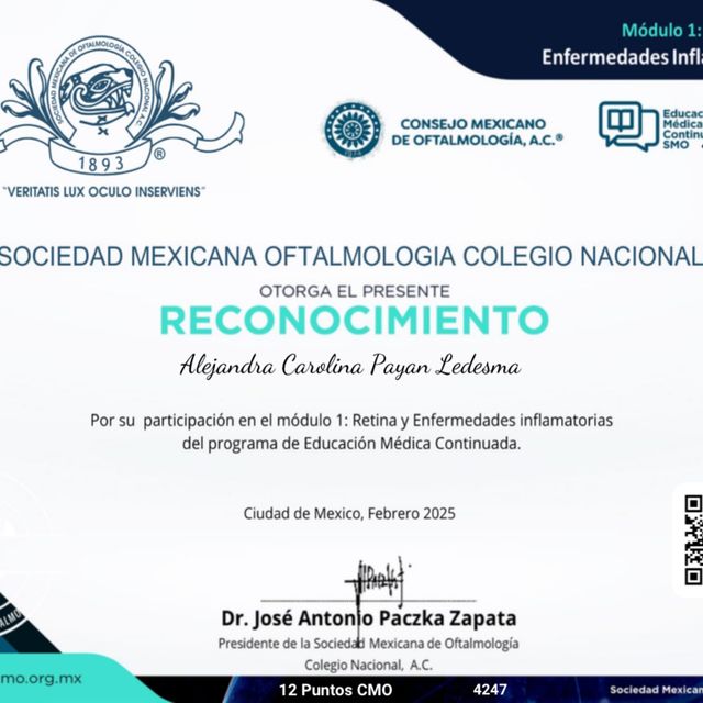 Ampliar imagen: certificate 2