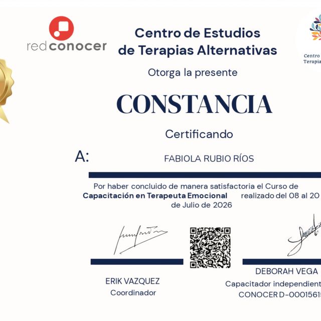 Ampliar imagen: certificate 2
