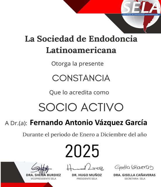 Ampliar imagen: certificate 4