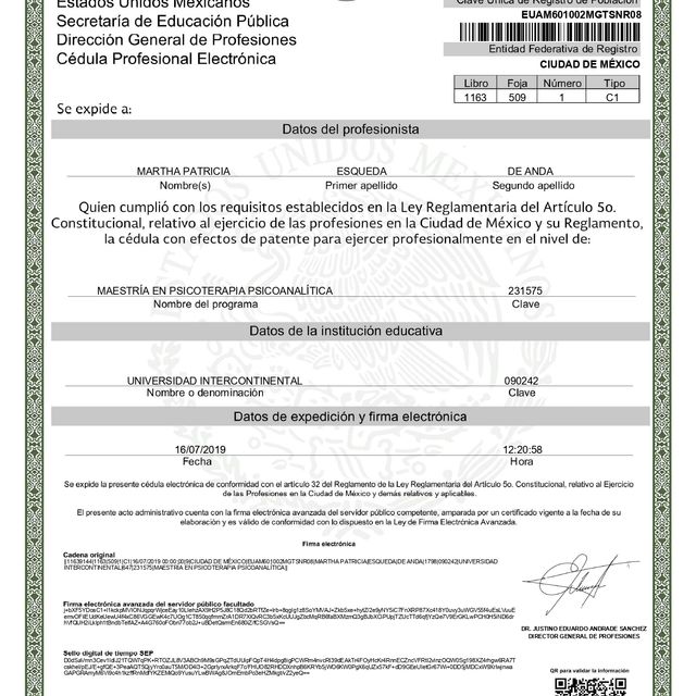 Ampliar imagen: certificate 3