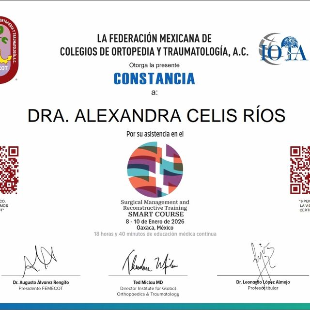 Ampliar imagen: certificate 1