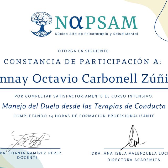 Ampliar imagen: certificate 6