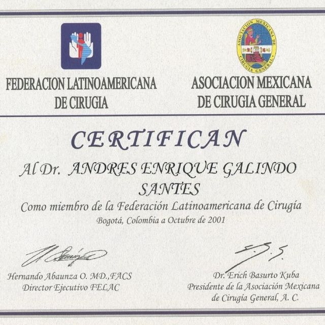 Ampliar imagen: certificate 5
