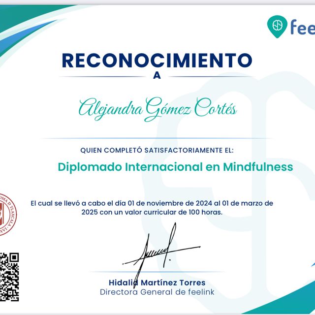 Ampliar imagen: certificate 7
