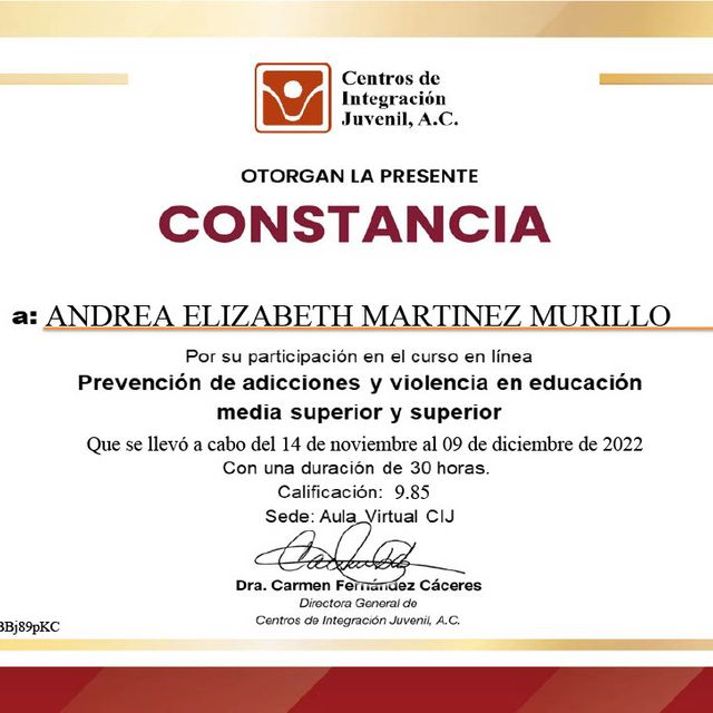 Ampliar imagen: certificate 19