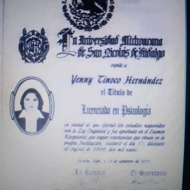 Ampliar imagen: certificate 7