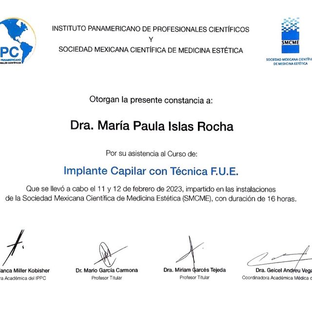 Ampliar imagen: certificate 8