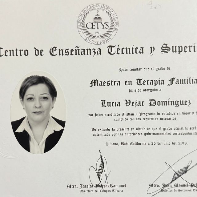 Ampliar imagen: certificate 4