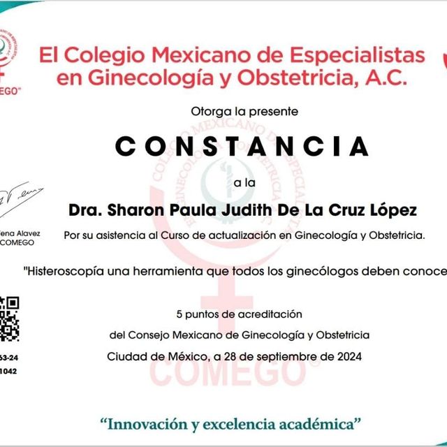 Ampliar imagen: certificate 13