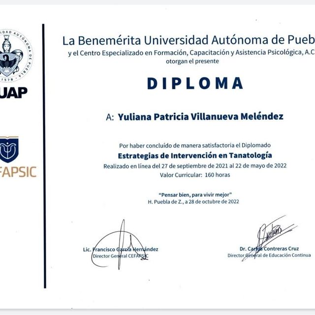 Ampliar imagen: certificate 2
