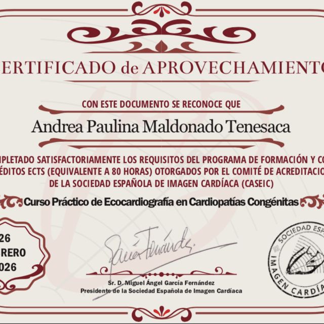 Ampliar imagen: certificate 6