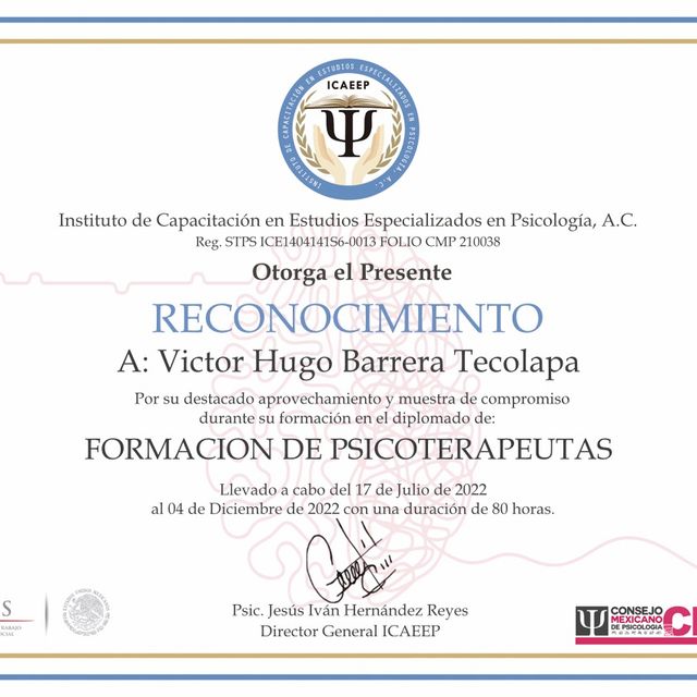 Ampliar imagen: certificate 19