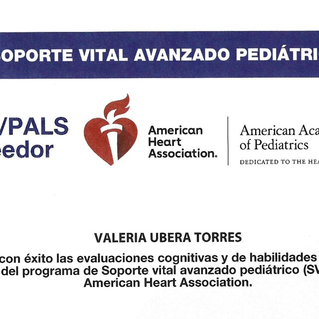 Ampliar imagen: certificate 5