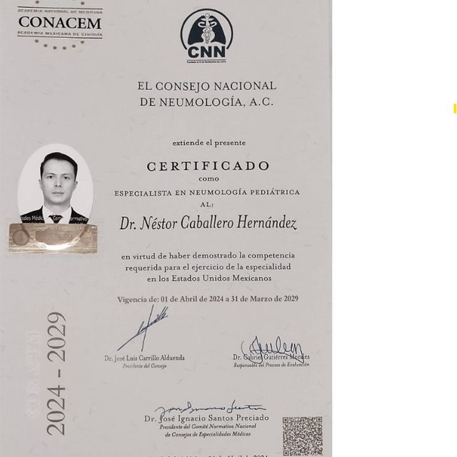 Ampliar imagen: certificate 1