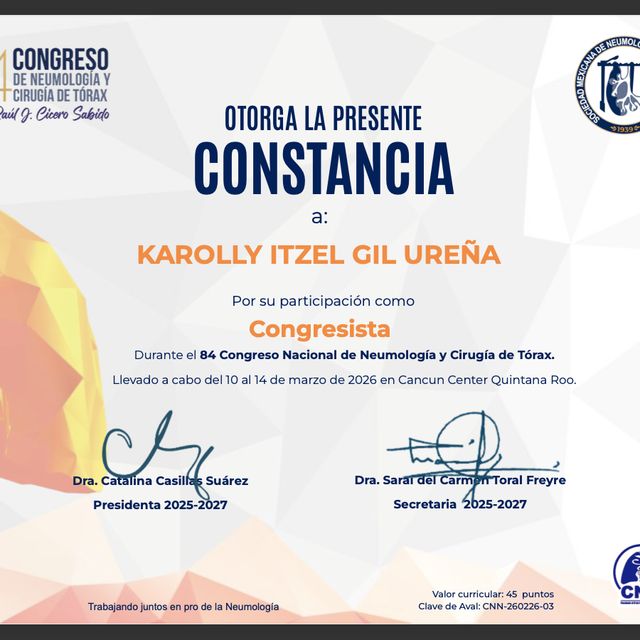 Ampliar imagen: certificate 13