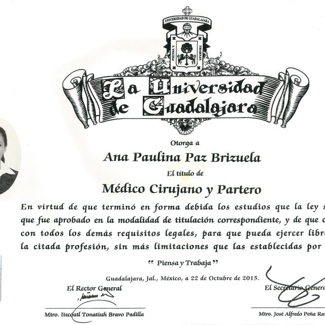 Ampliar imagen: certificate 1