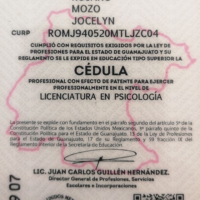 Ampliar imagen: certificate 6