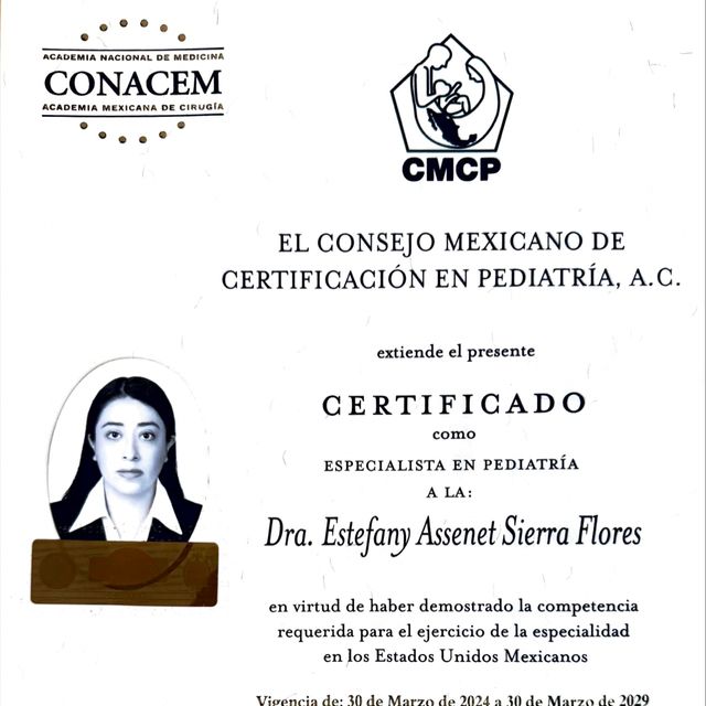 Ampliar imagen: certificate 1