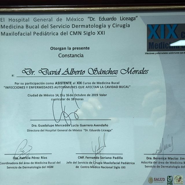 Ampliar imagen: certificate 7