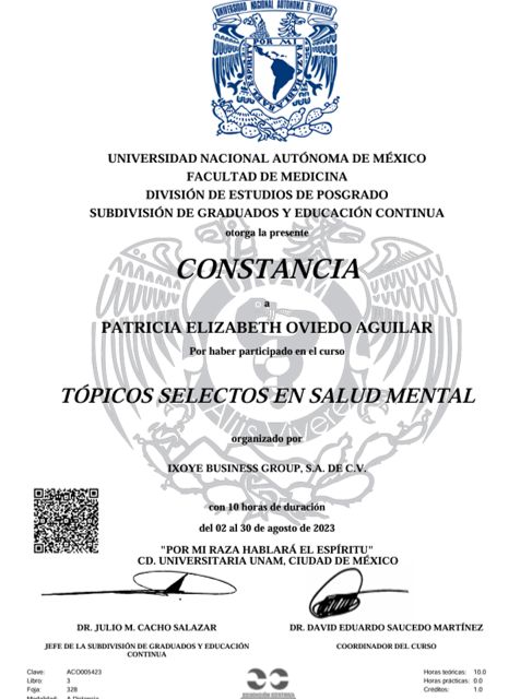Ampliar imagen: certificate 3