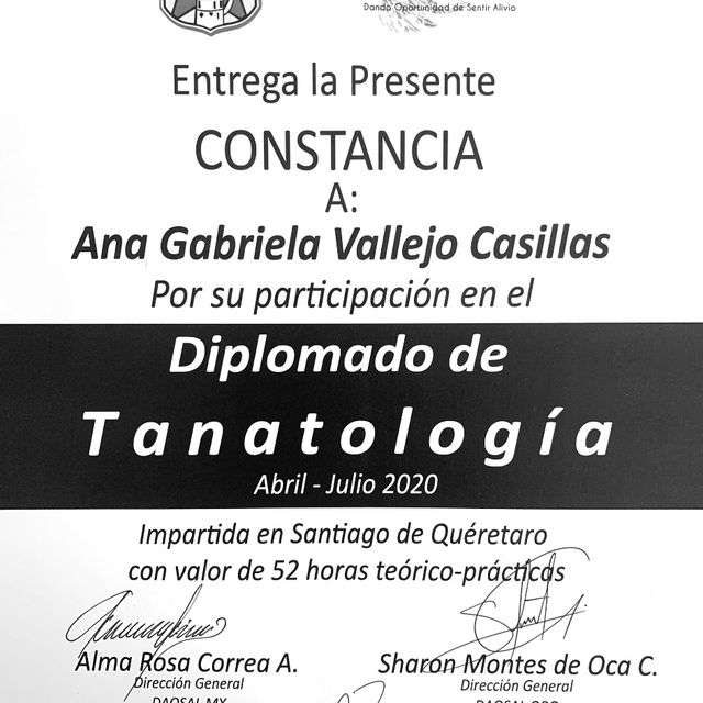 Ampliar imagen: certificate 8