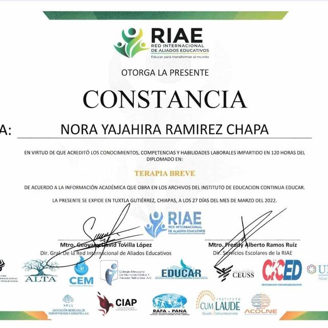 Ampliar imagen: certificate 10