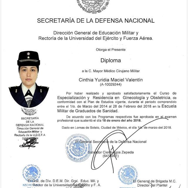 Ampliar imagen: certificate 3