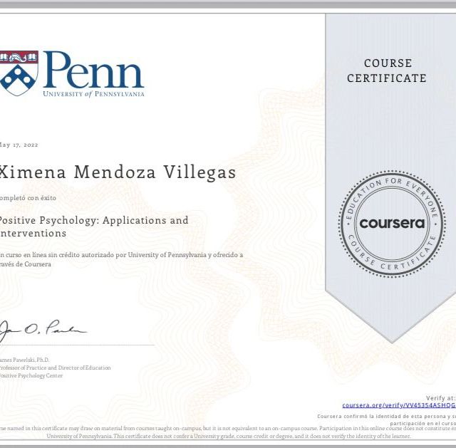 Ampliar imagen: certificate 7