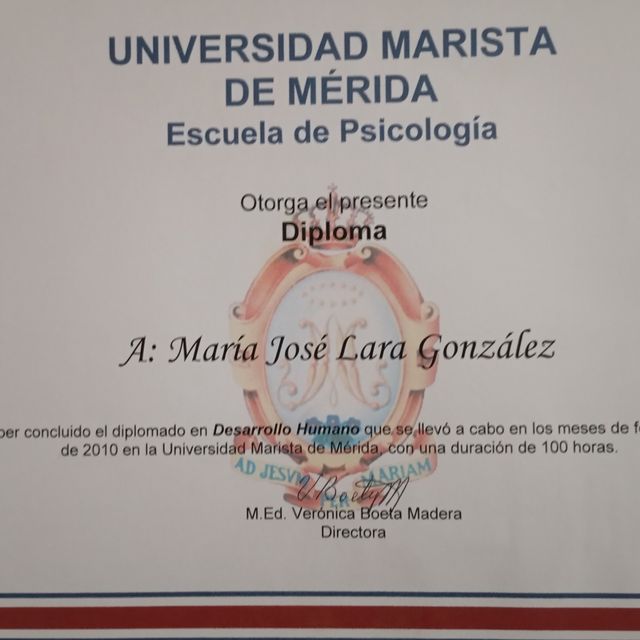 Ampliar imagen: certificate 2