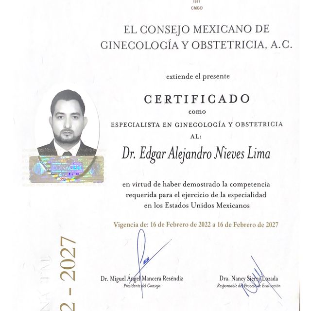 Ampliar imagen: certificate 2