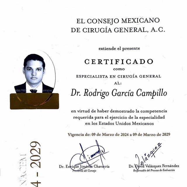 Ampliar imagen: certificate 1