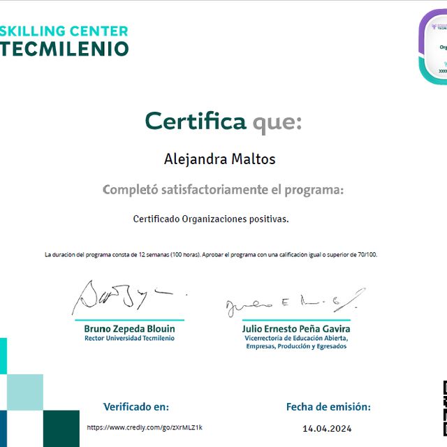 Ampliar imagen: certificate 3