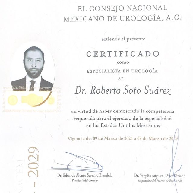 Ampliar imagen: certificate 7