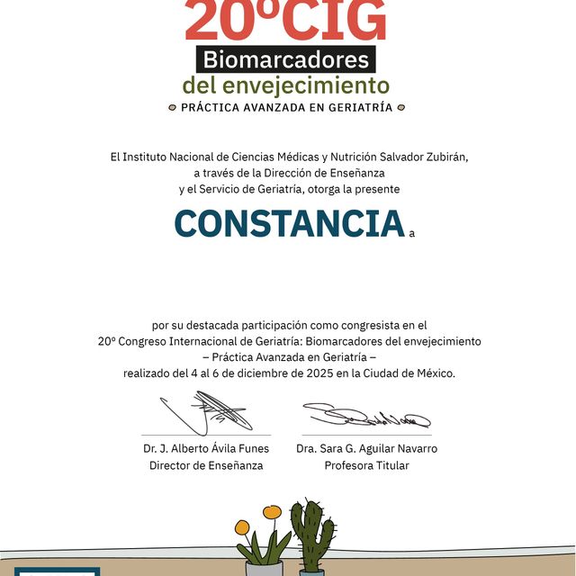 Ampliar imagen: certificate 3