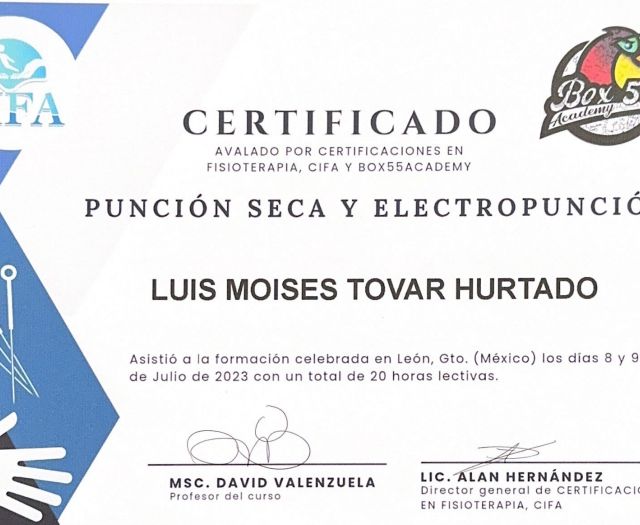 Ampliar imagen: certificate 11