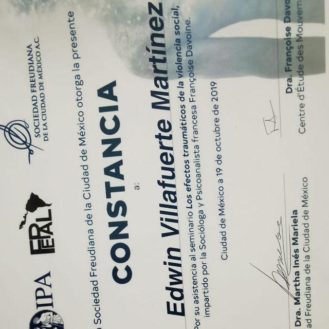 Ampliar imagen: certificate 5