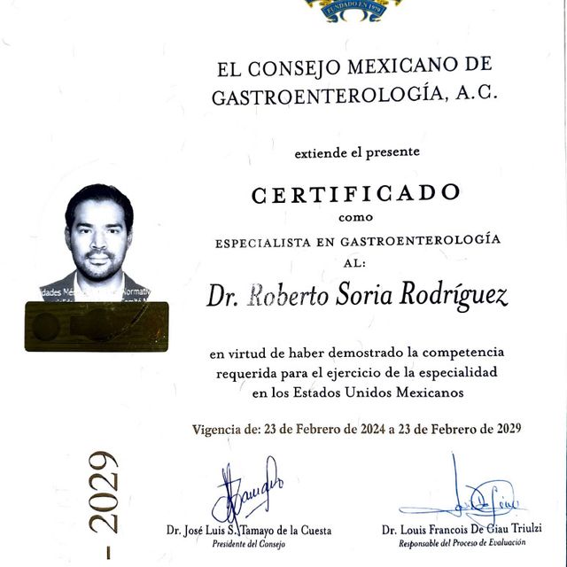 Ampliar imagen: certificate 1