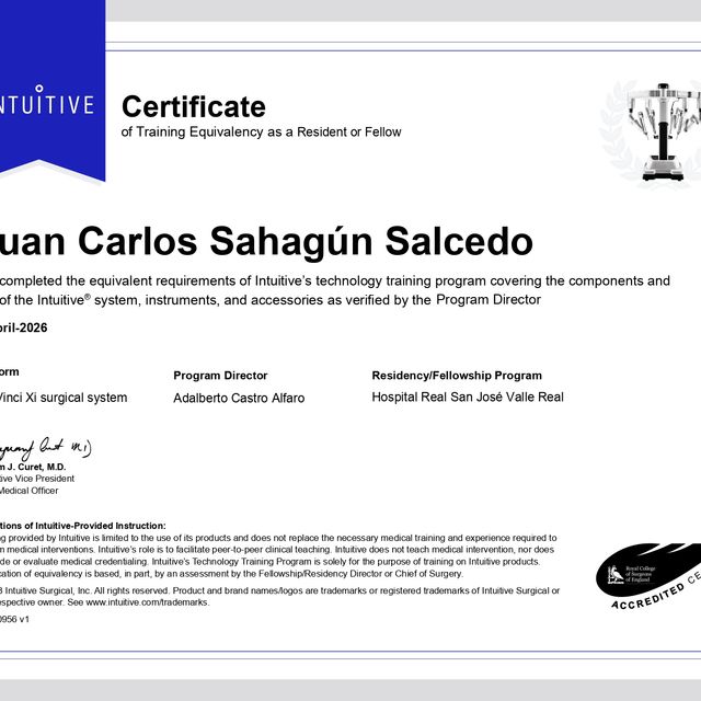 Ampliar imagen: certificate 2
