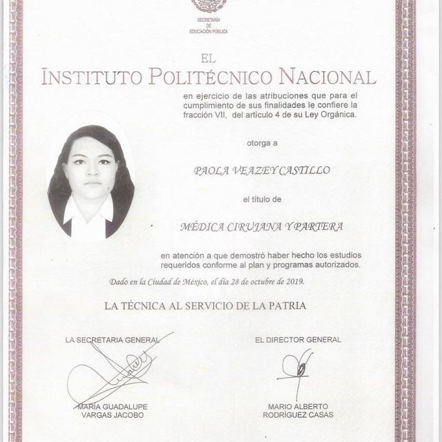 Ampliar imagen: certificate 20