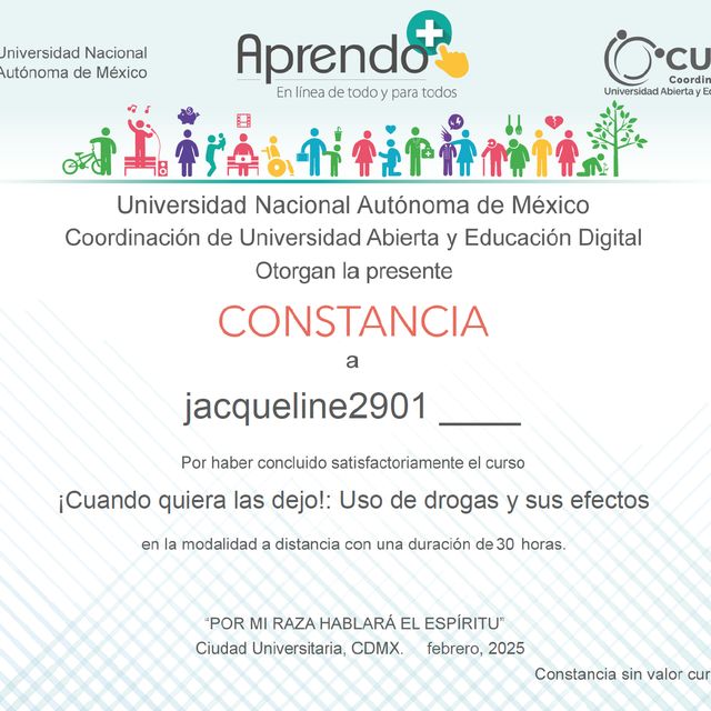 Ampliar imagen: certificate 4
