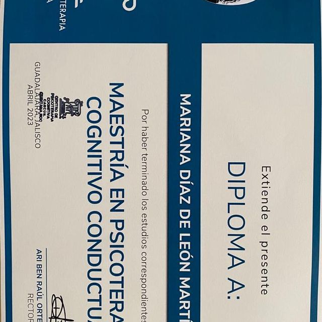 Ampliar imagen: certificate 2